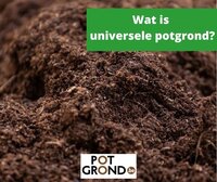 Wat is universele potgrond? Wat is universele potgrond?
