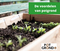 De voordelen van potgrond De voordelen van potgrond